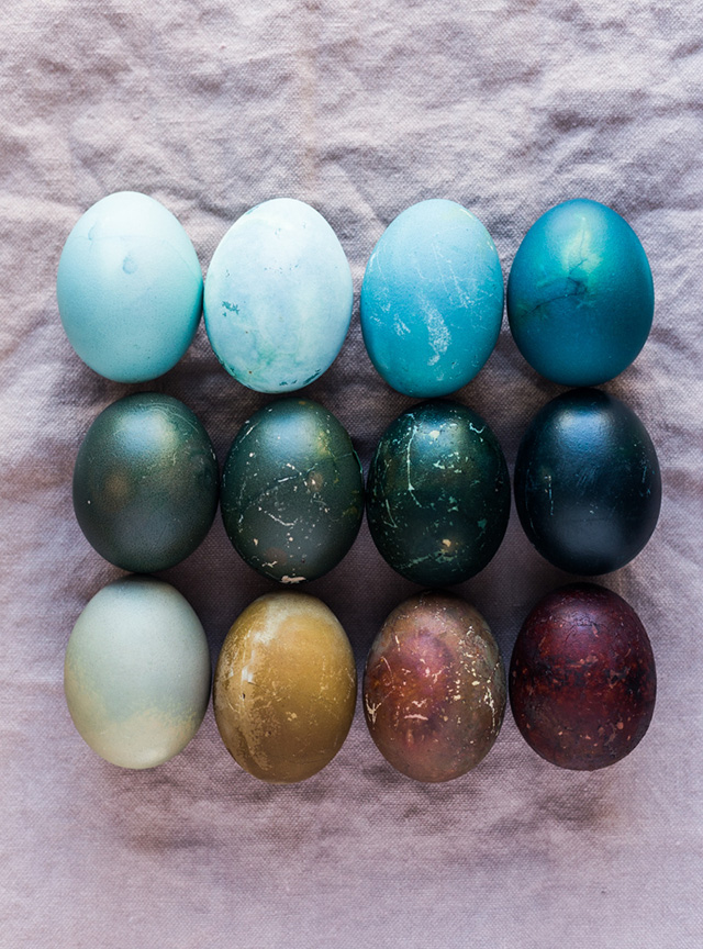 EGGS