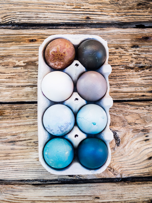 eggs-easter