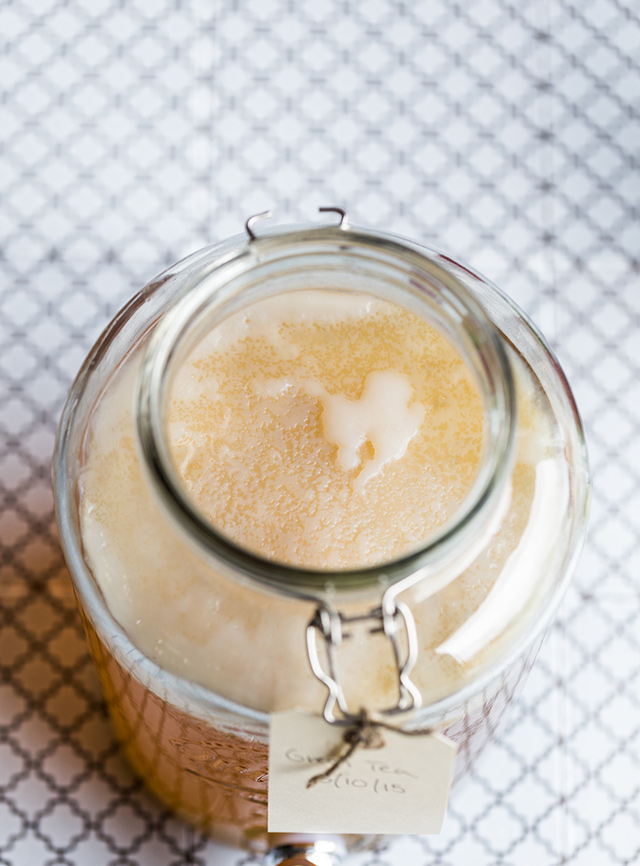 IMG_9669_kombucha-extra