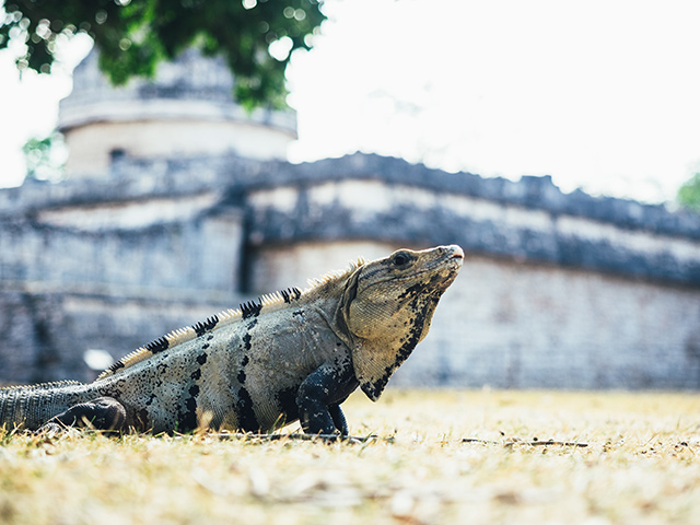 mexico-5